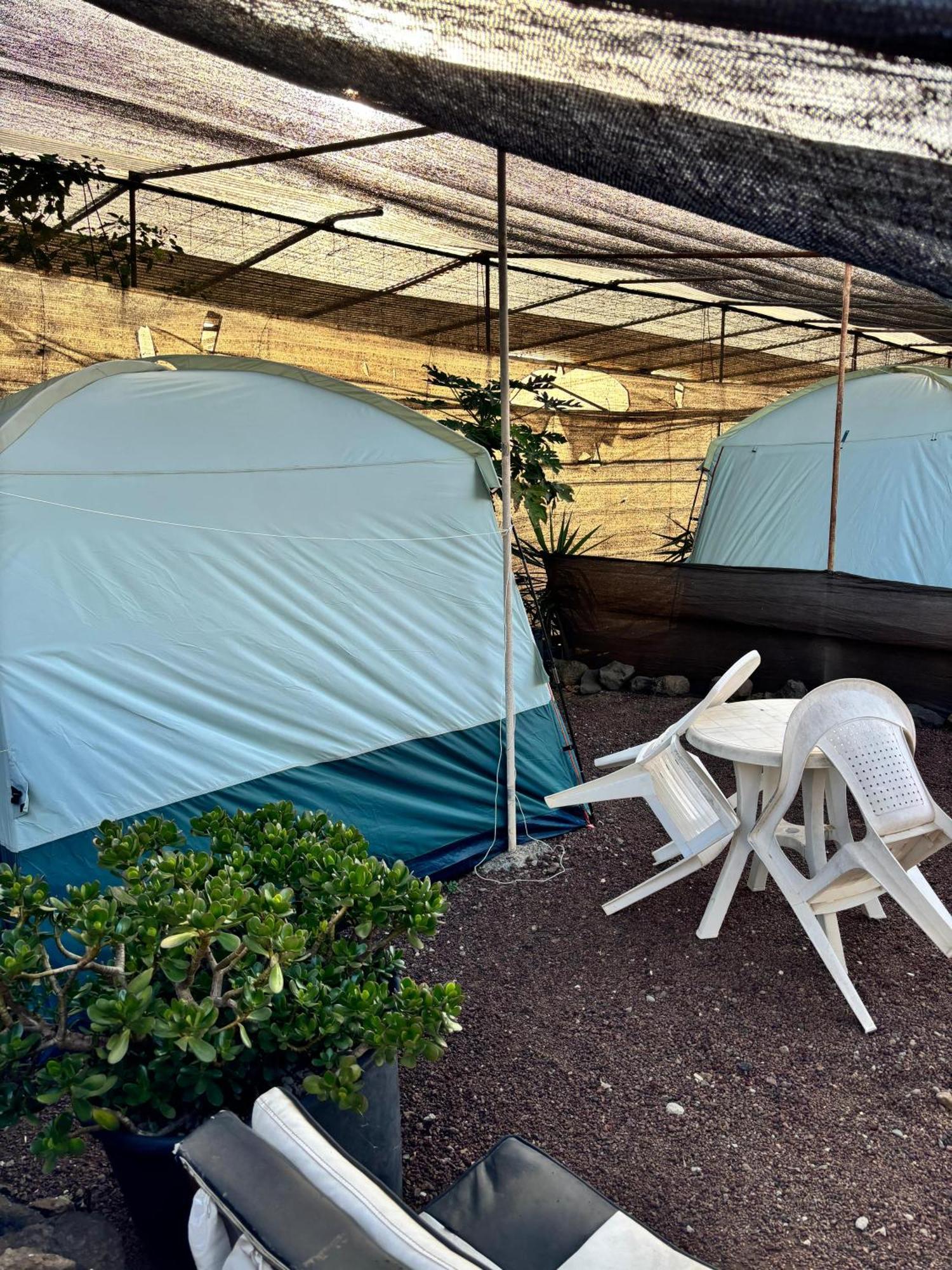 Tejina Camping Invernaderito מראה חיצוני תמונה