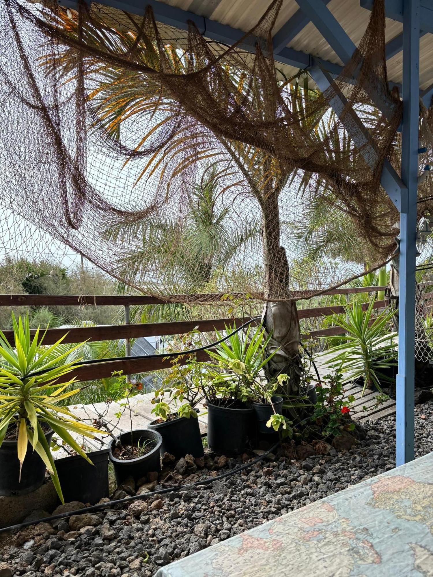 Tejina Camping Invernaderito מראה חיצוני תמונה
